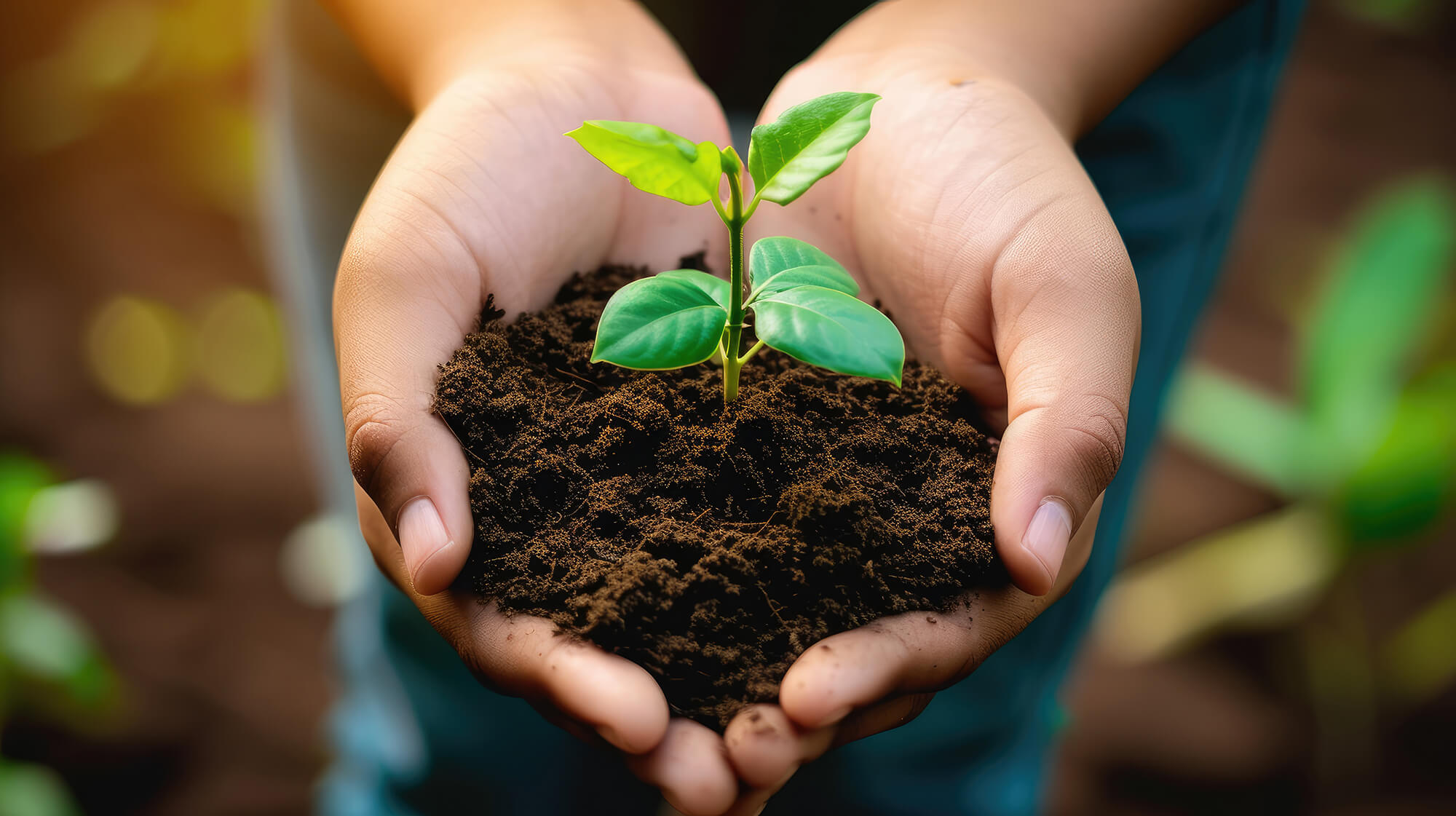 Seedlings earth day